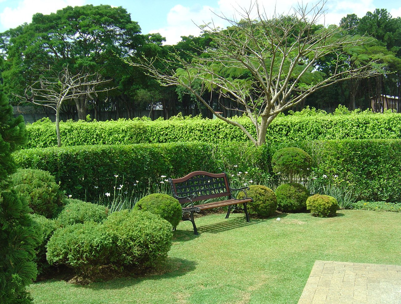 image06