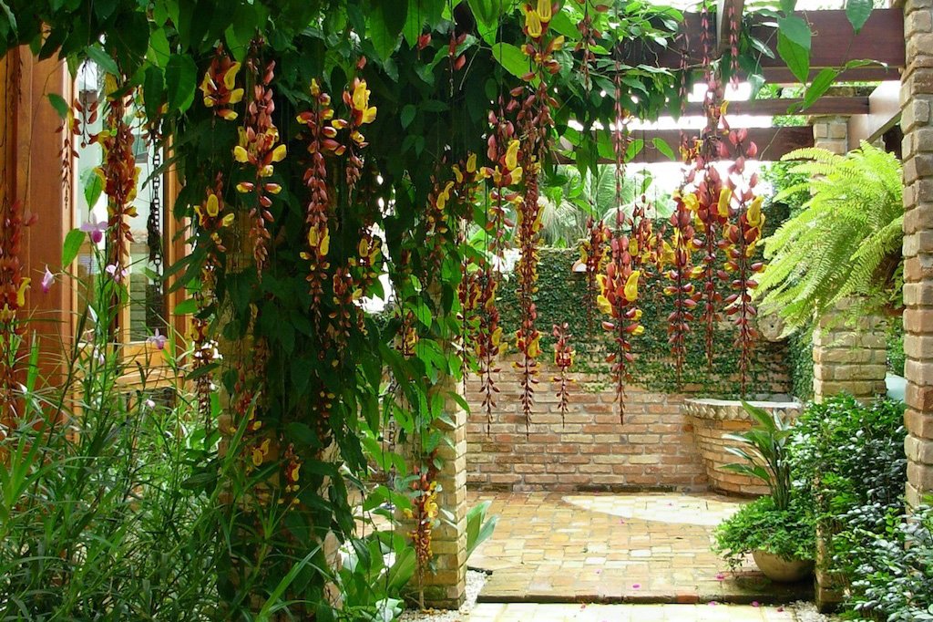 image05